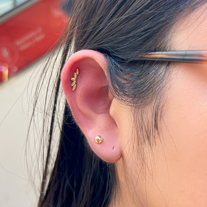 PIERCING BEAUTY