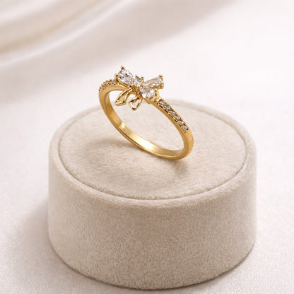 ANILLO LAZO