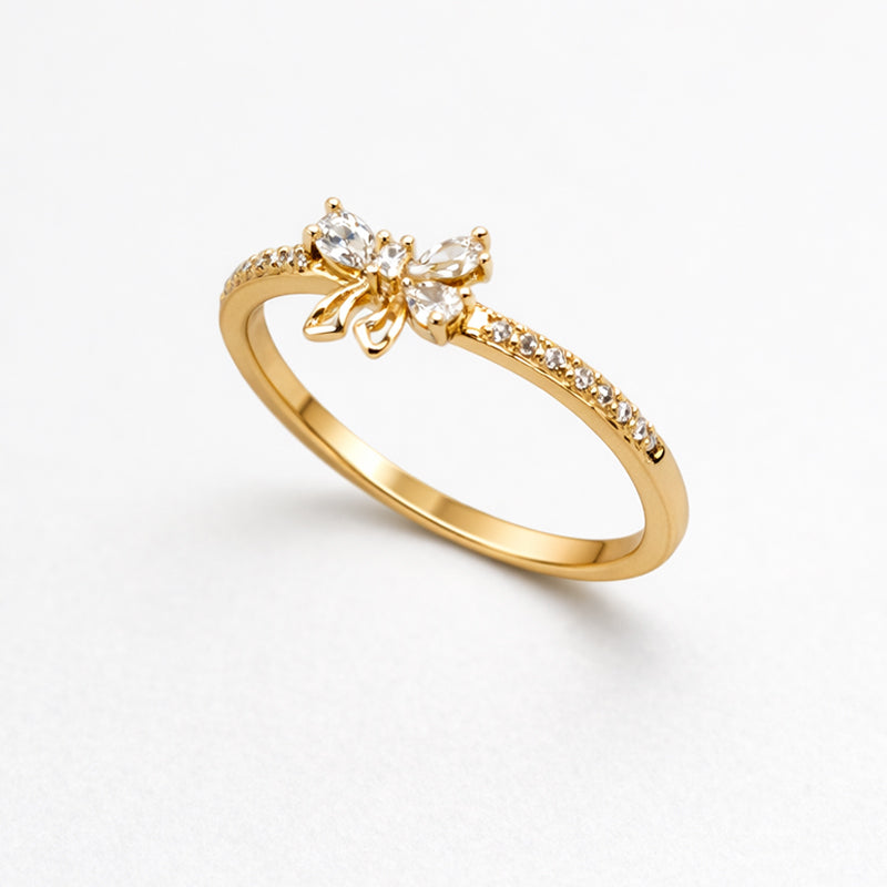 ANILLO LAZO