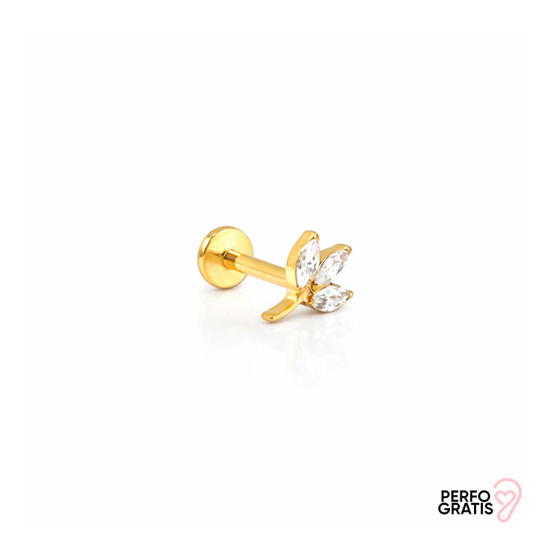 PIERCING OCHRE