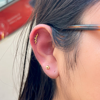 PIERCING BEAUTY