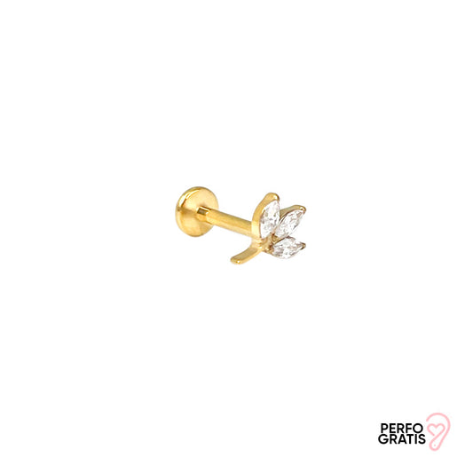 PIERCING OCHRE
